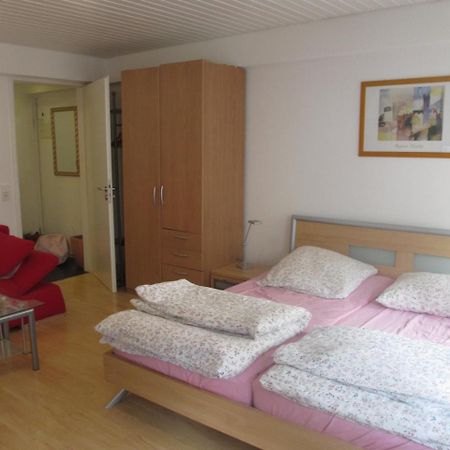 Im Zentrum Am Hebelhof 1Zi. Freiburg im Breisgau Ngoại thất bức ảnh
